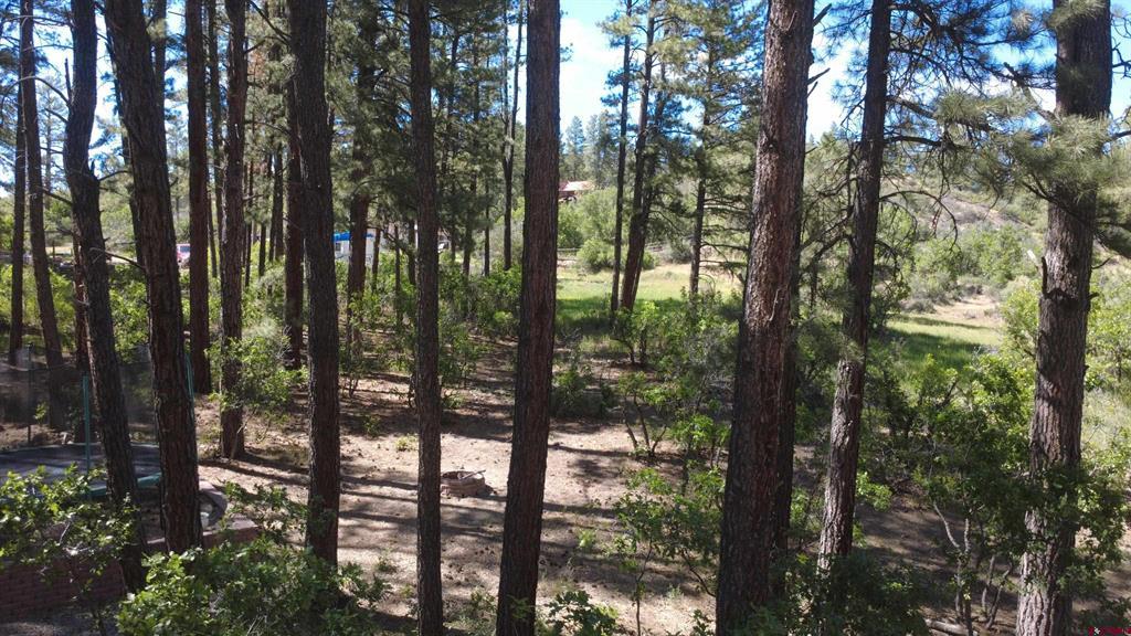 996 & 1032 Raccoon Drive Pagosa Springs CO 81147