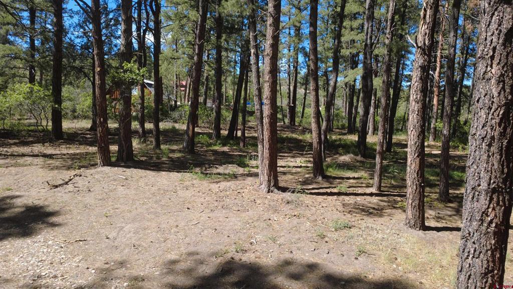 996 & 1032 Raccoon Drive Pagosa Springs CO 81147