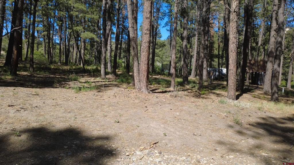 996 & 1032 Raccoon Drive Pagosa Springs CO 81147