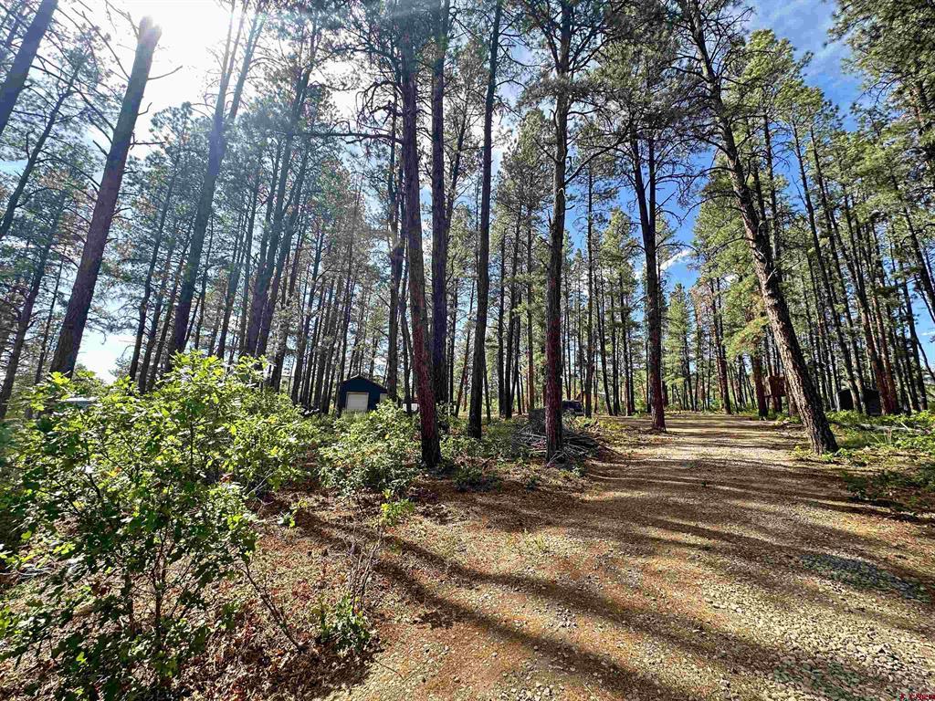 996 & 1032 Raccoon Drive Pagosa Springs CO 81147