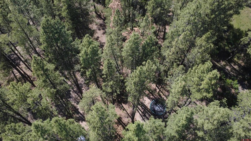 996 & 1032 Raccoon Drive Pagosa Springs CO 81147