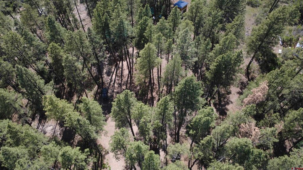 996 & 1032 Raccoon Drive Pagosa Springs CO 81147