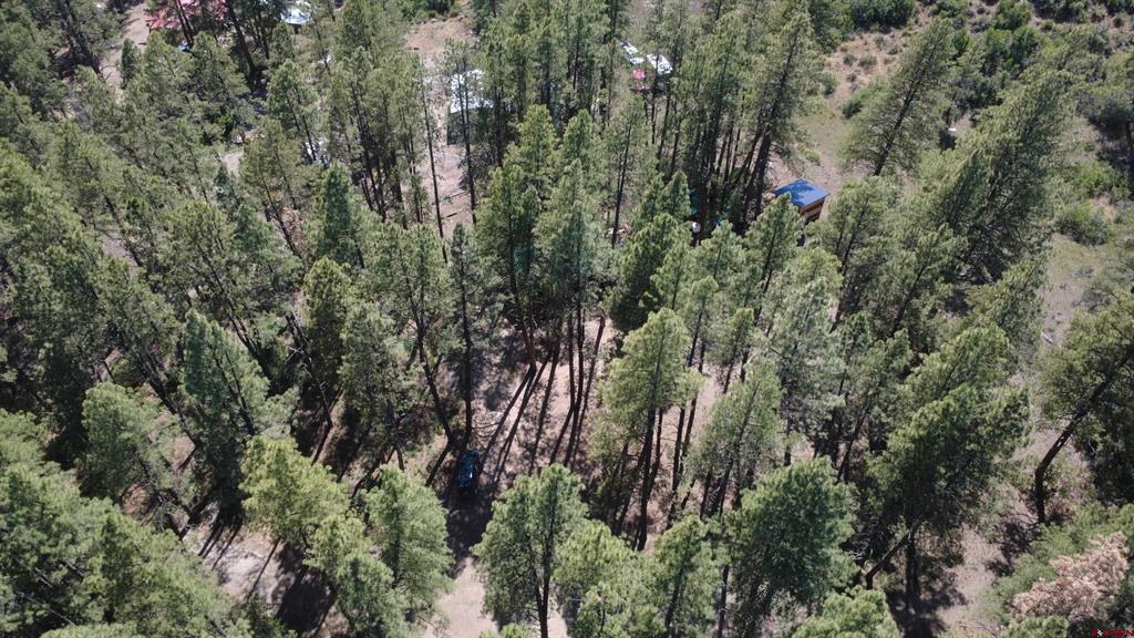 996 & 1032 Raccoon Drive Pagosa Springs CO 81147