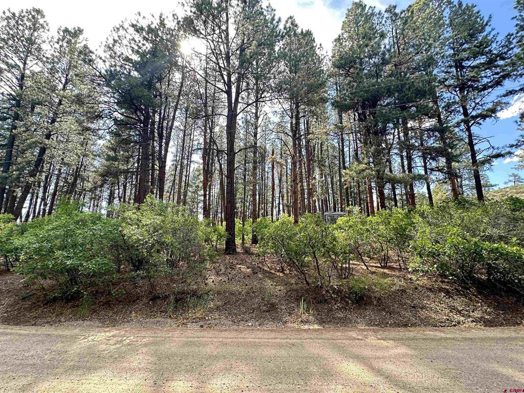 996 & 1032 Raccoon Drive Pagosa Springs CO 81147