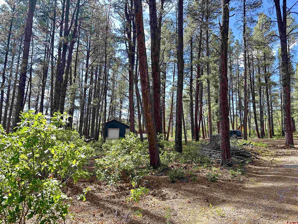 996 & 1032 Raccoon Drive Pagosa Springs CO 81147