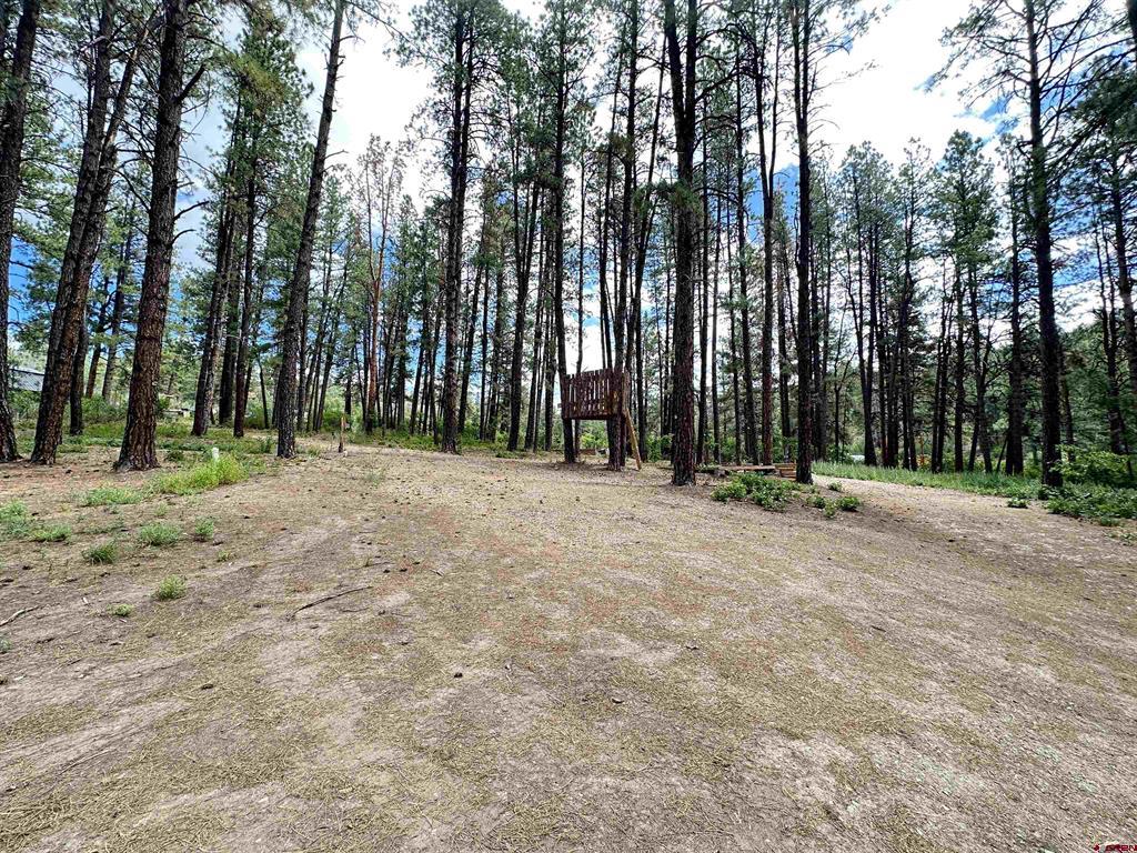 996 & 1032 Raccoon Drive Pagosa Springs CO 81147