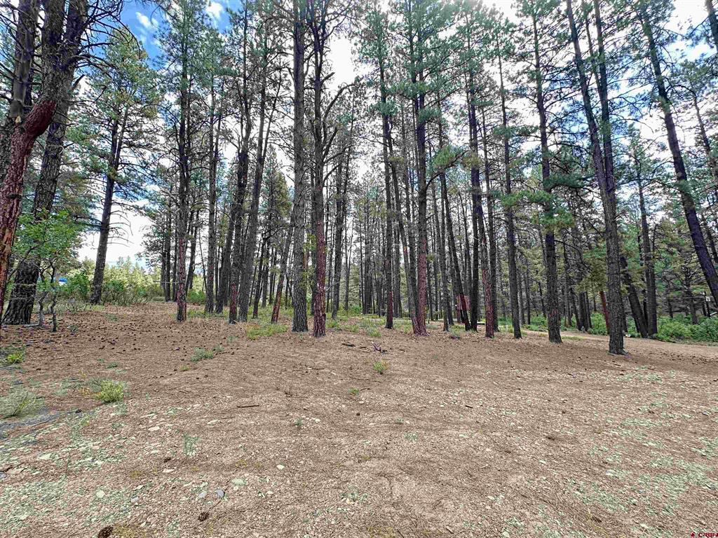 996 & 1032 Raccoon Drive Pagosa Springs CO 81147