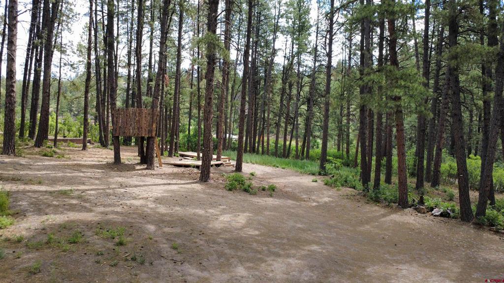 996 & 1032 Raccoon Drive Pagosa Springs CO 81147