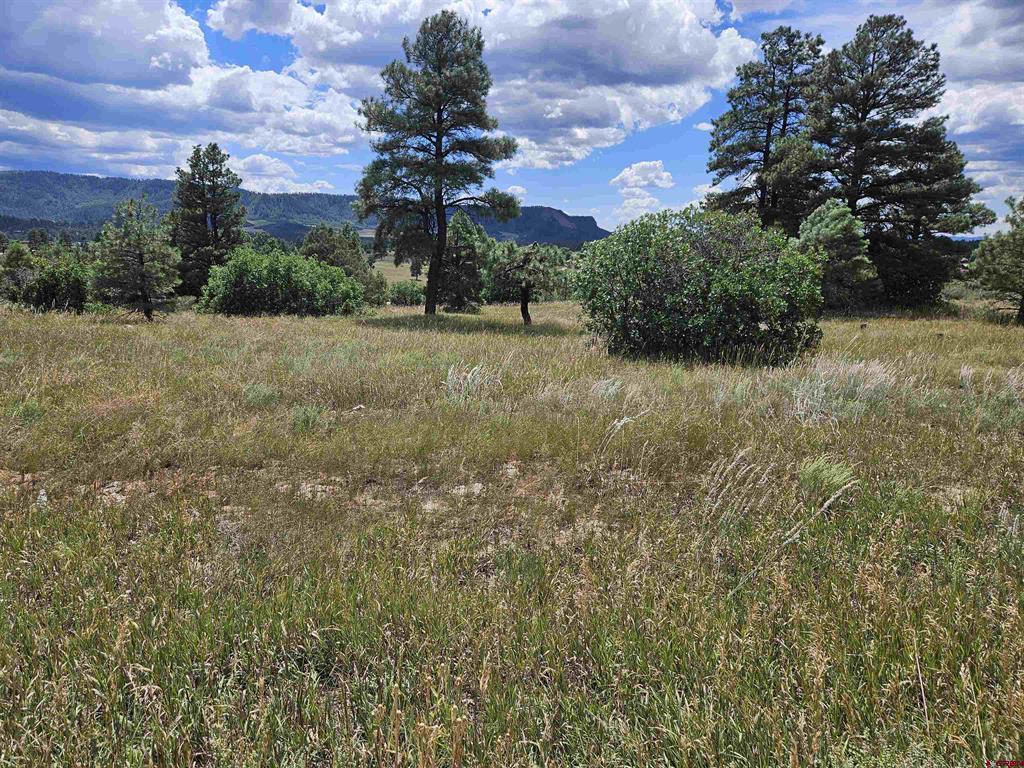 266 Prospect Boulevard Pagosa Springs CO 81147