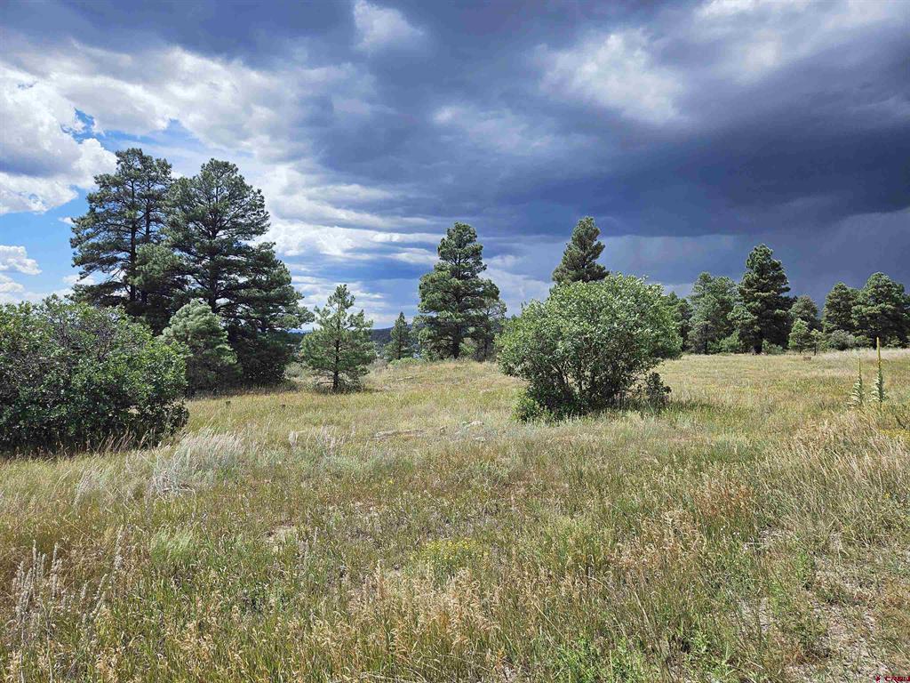 266 Prospect Boulevard Pagosa Springs CO 81147