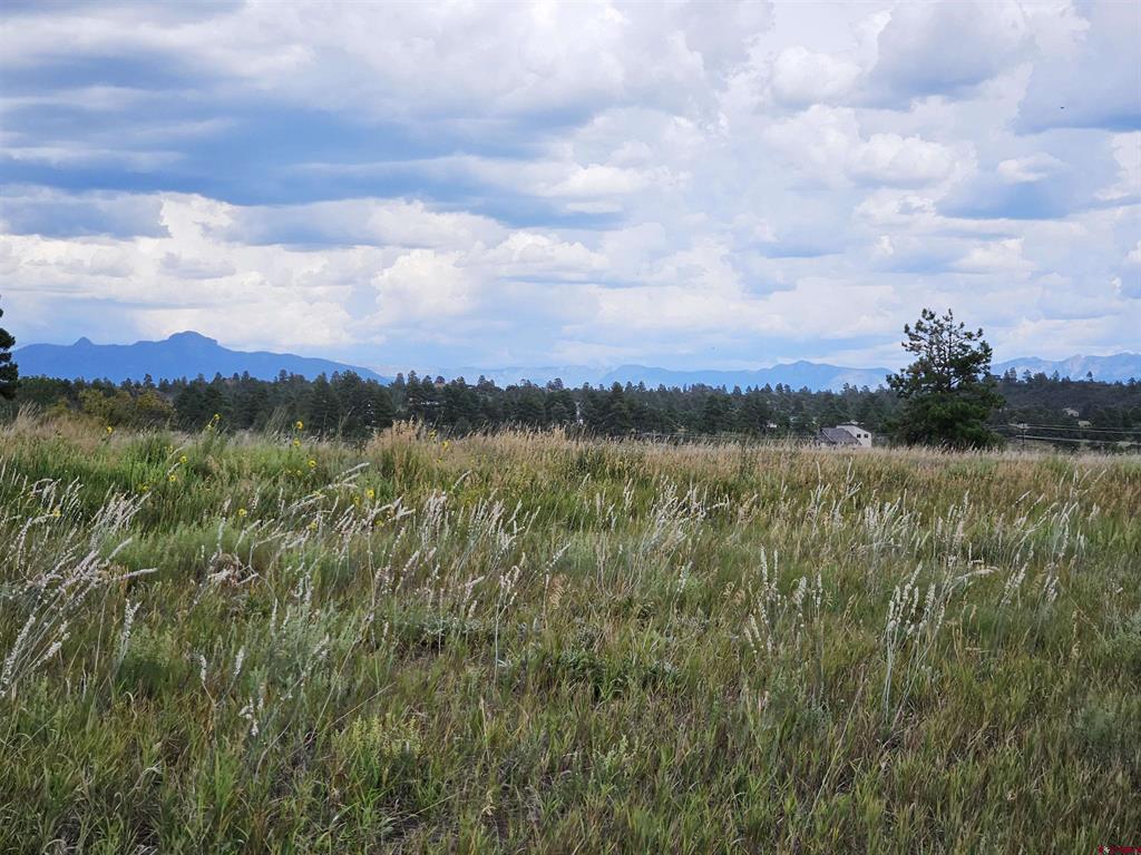266 Prospect Boulevard Pagosa Springs CO 81147