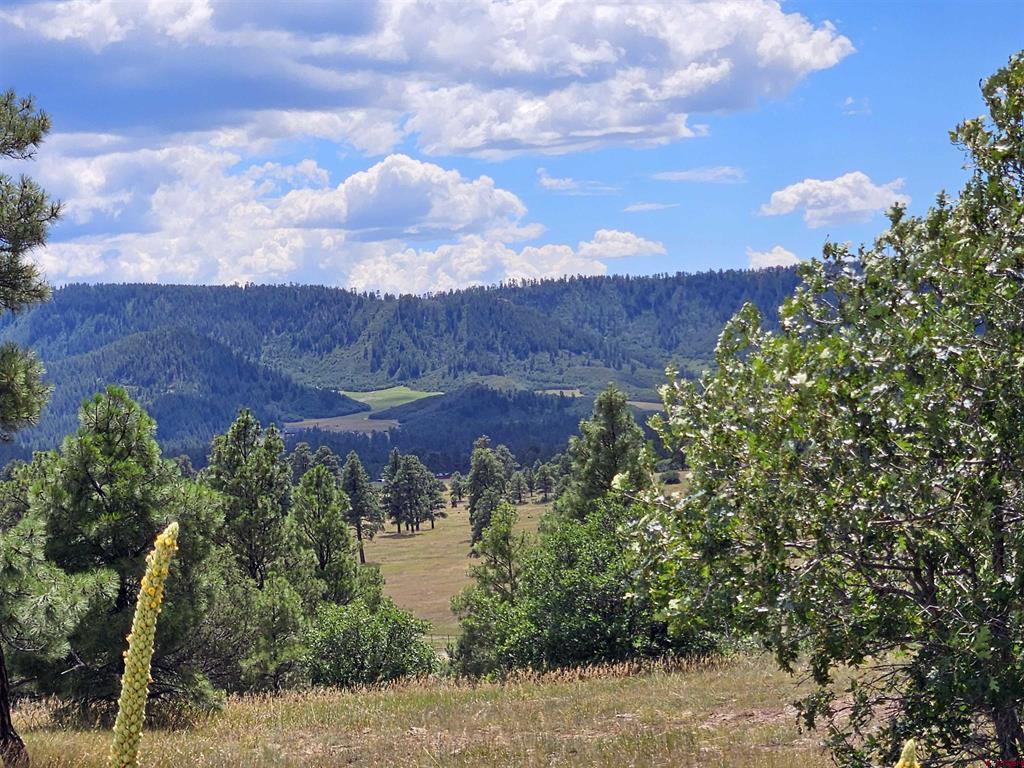 266 Prospect Boulevard Pagosa Springs CO 81147