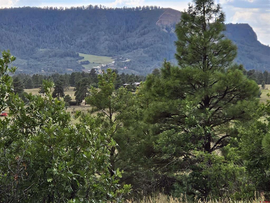 266 Prospect Boulevard Pagosa Springs CO 81147