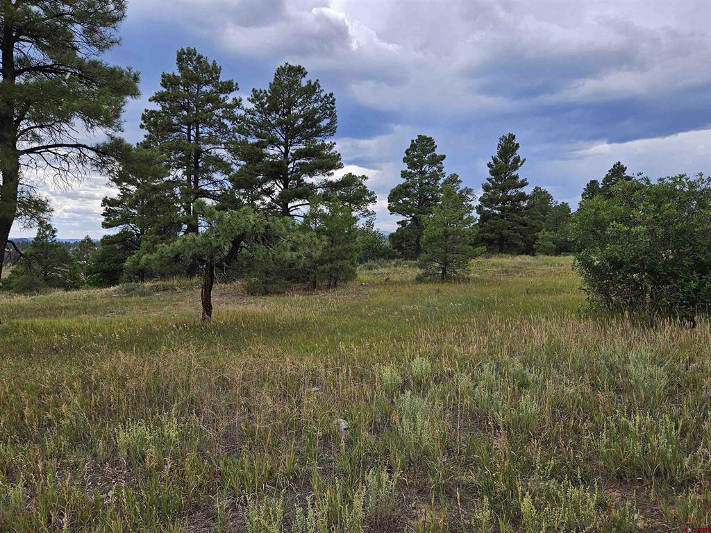 266 Prospect Boulevard Pagosa Springs CO 81147