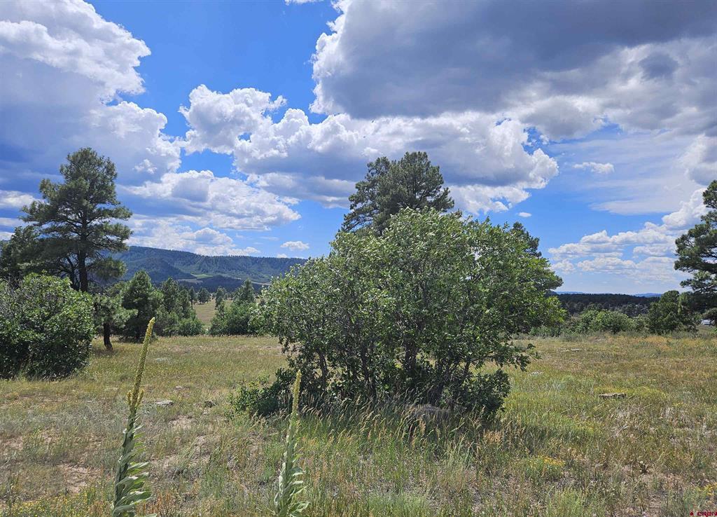 266 Prospect Boulevard Pagosa Springs CO 81147