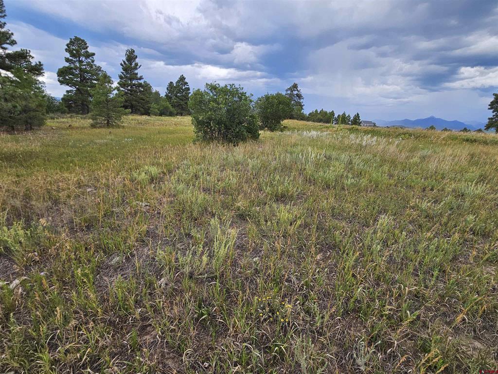 266 Prospect Boulevard Pagosa Springs CO 81147