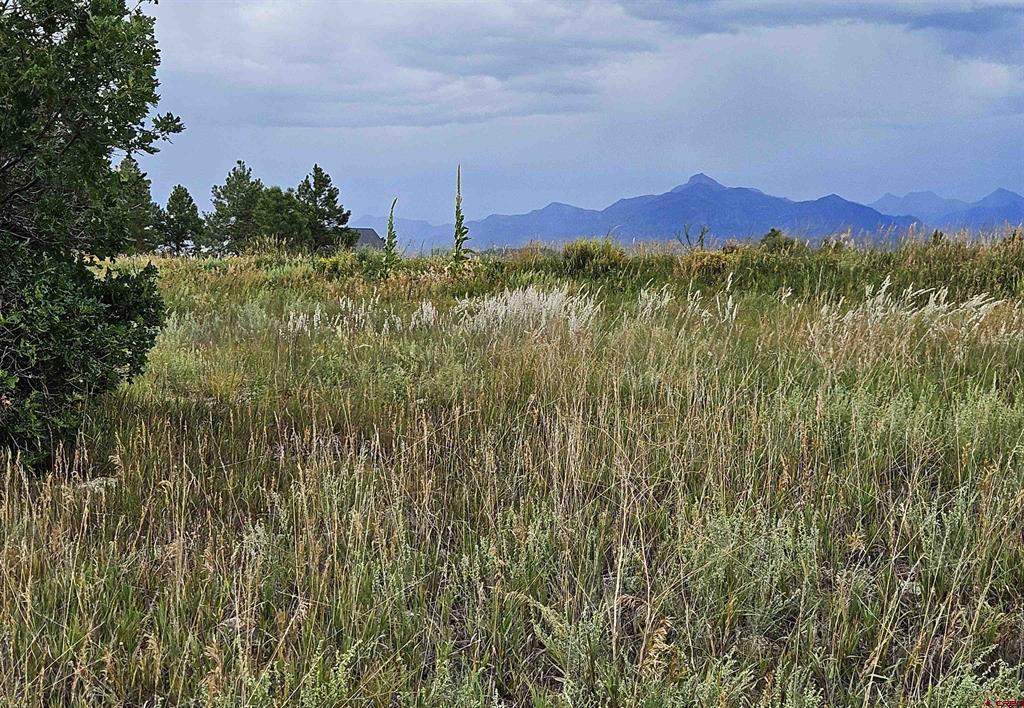 266 Prospect Boulevard Pagosa Springs CO 81147