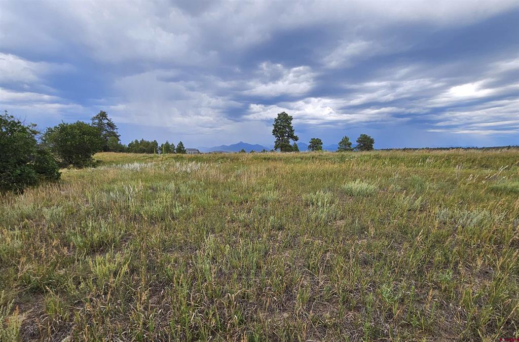 266 Prospect Boulevard Pagosa Springs CO 81147