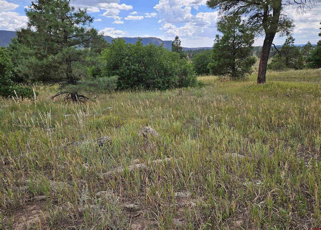 266 Prospect Boulevard Pagosa Springs CO 81147