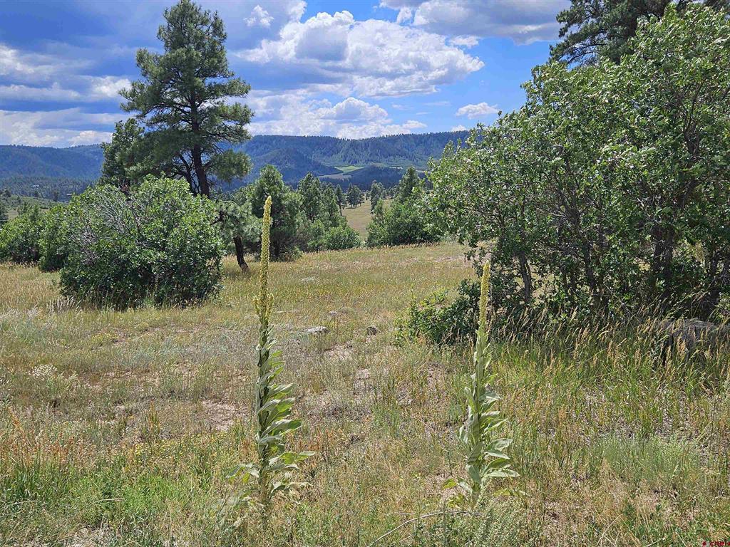 266 Prospect Boulevard Pagosa Springs CO 81147