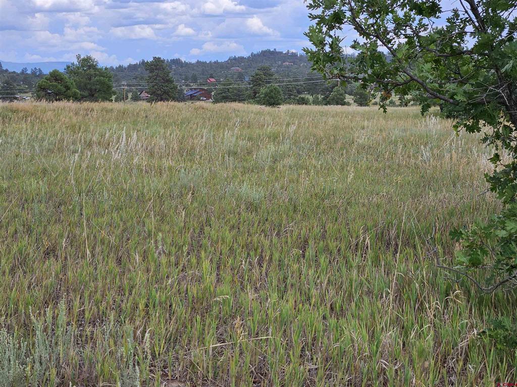 266 Prospect Boulevard Pagosa Springs CO 81147