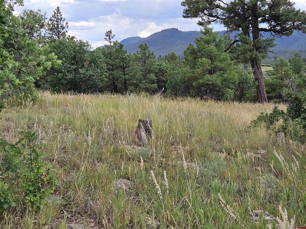 266 Prospect Boulevard Pagosa Springs CO 81147