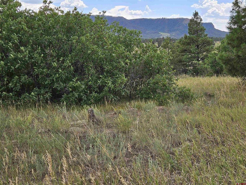 266 Prospect Boulevard Pagosa Springs CO 81147