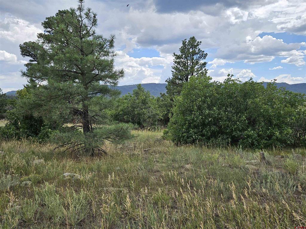 266 Prospect Boulevard Pagosa Springs CO 81147