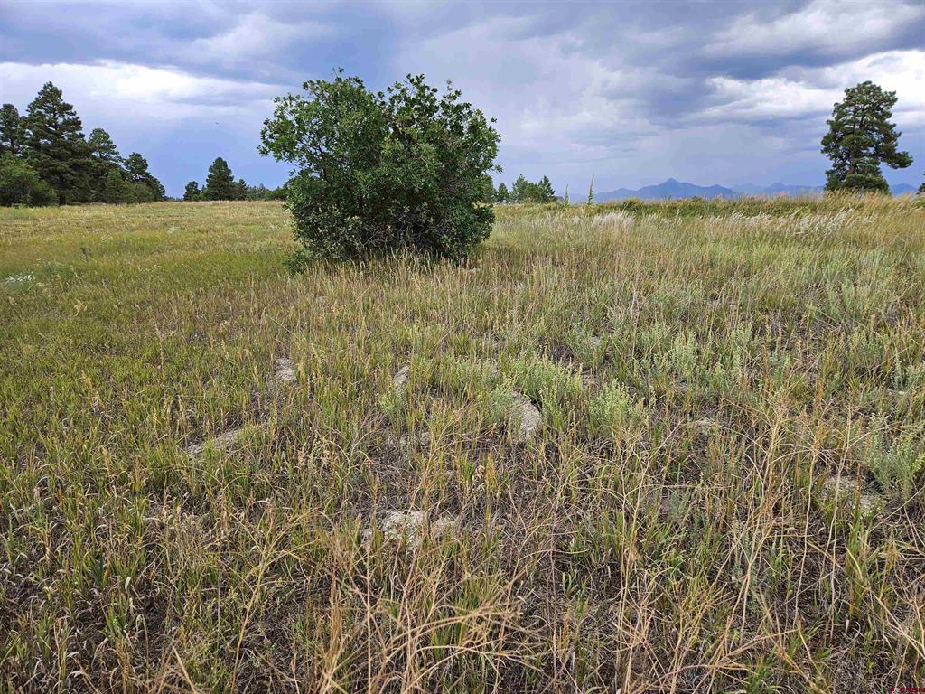 266 Prospect Boulevard Pagosa Springs CO 81147