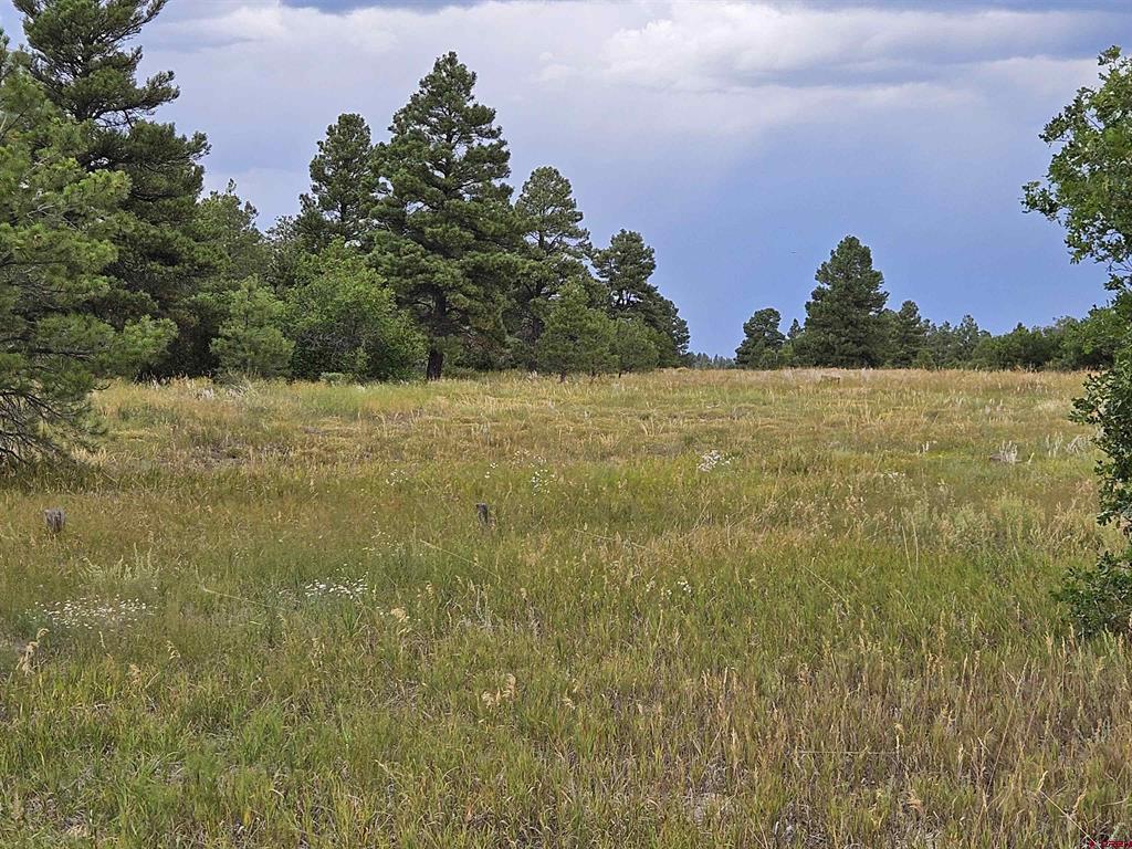 266 Prospect Boulevard Pagosa Springs CO 81147