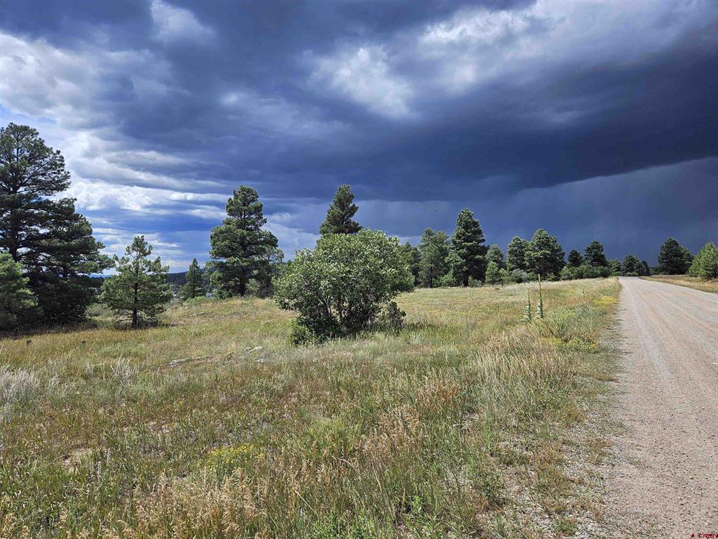 266 Prospect Boulevard Pagosa Springs CO 81147