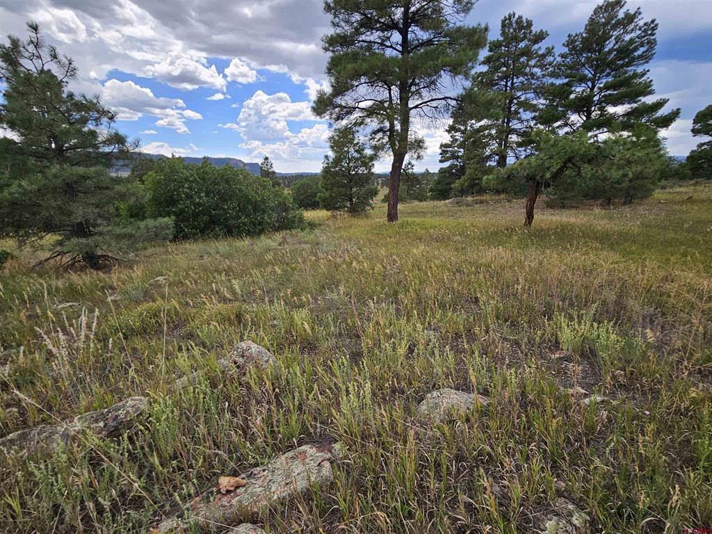 266 Prospect Boulevard Pagosa Springs CO 81147