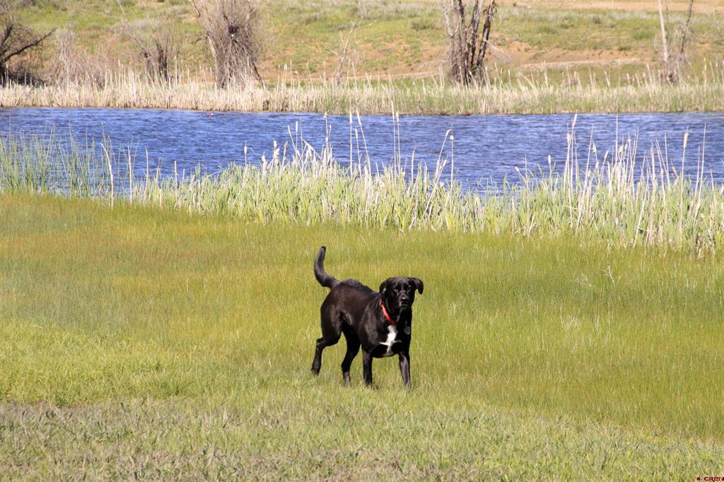 266 Prospect Boulevard Pagosa Springs CO 81147