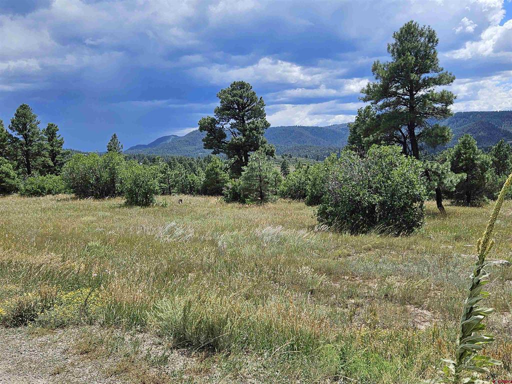 266 Prospect Boulevard Pagosa Springs CO 81147