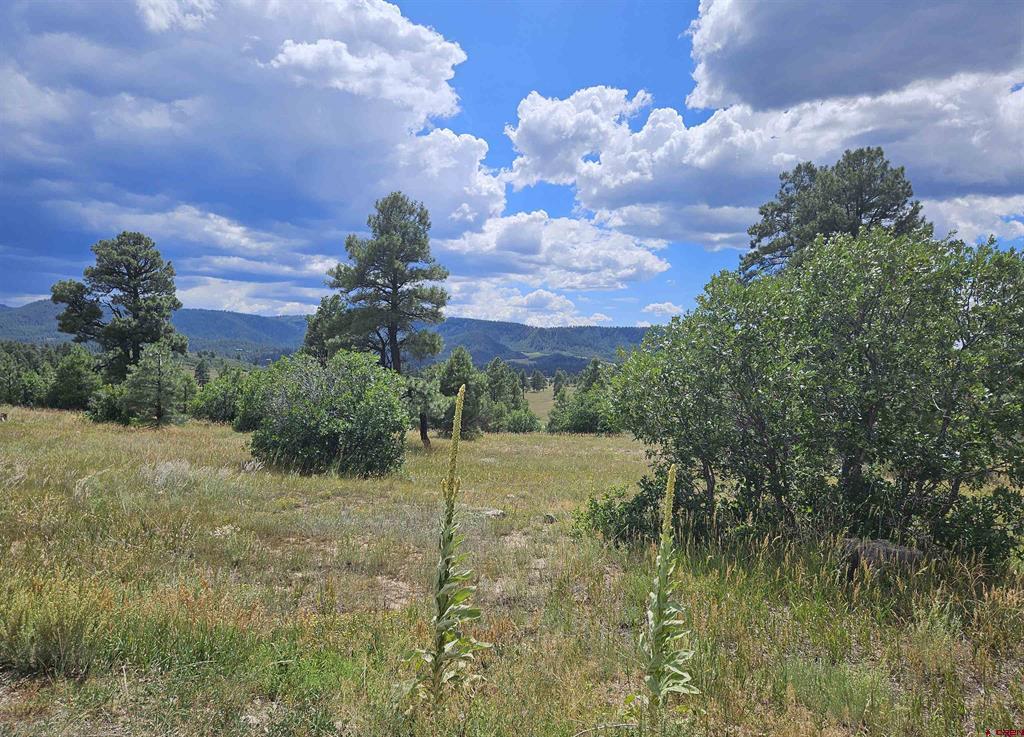 266 Prospect Boulevard Pagosa Springs CO 81147