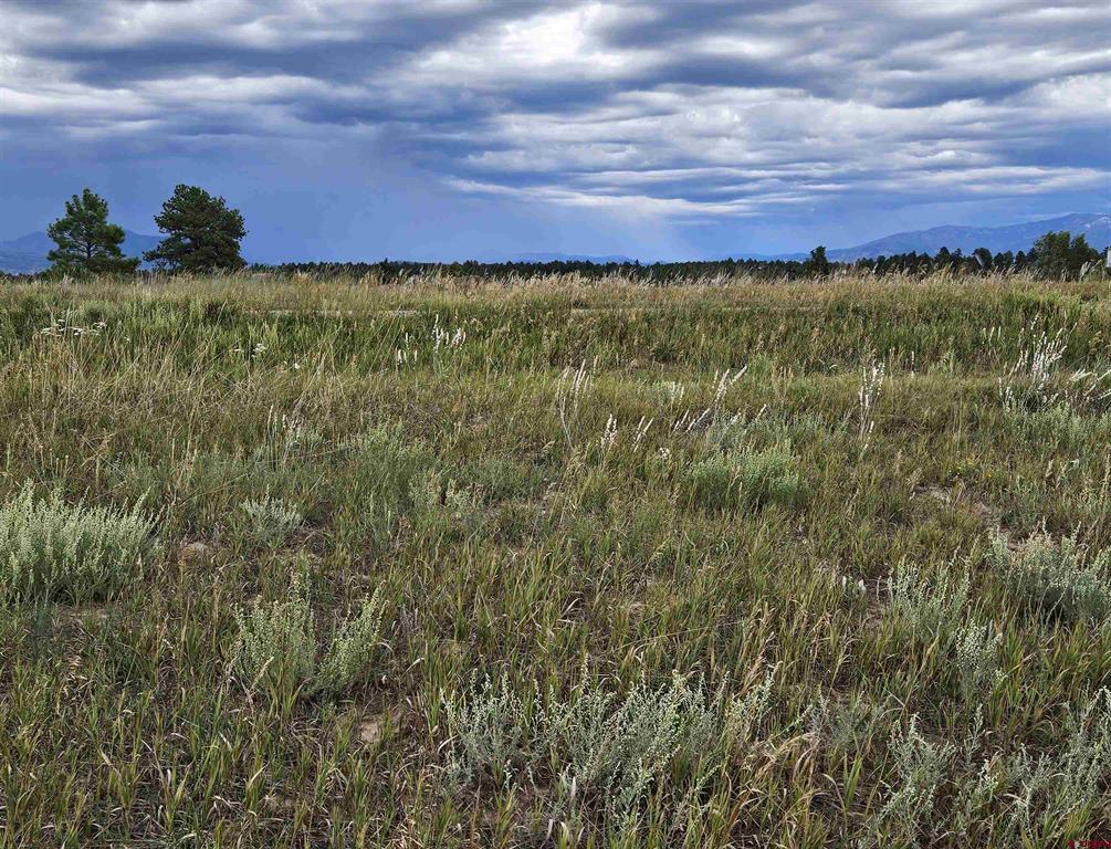 266 Prospect Boulevard Pagosa Springs CO 81147
