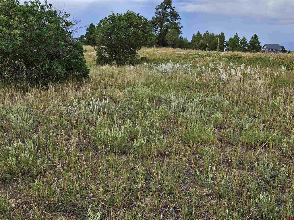 266 Prospect Boulevard Pagosa Springs CO 81147