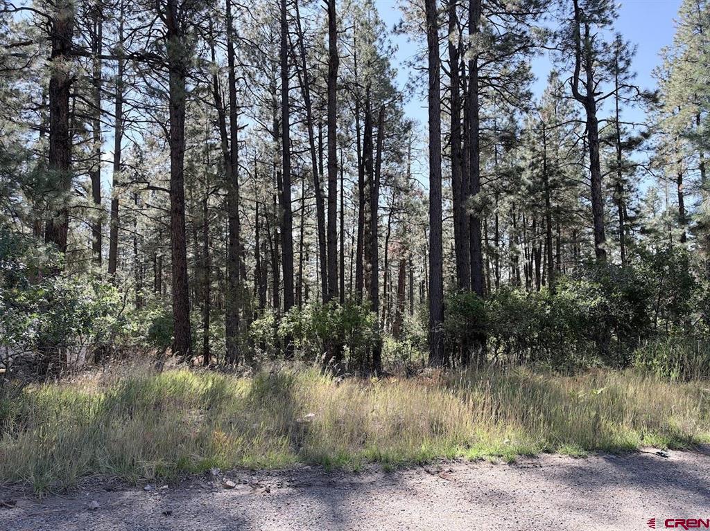 332 Lake View Drive Bayfield CO 81122