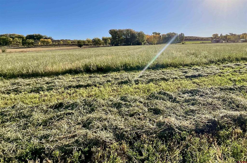 Tbd 5800 Road Montrose CO 81403