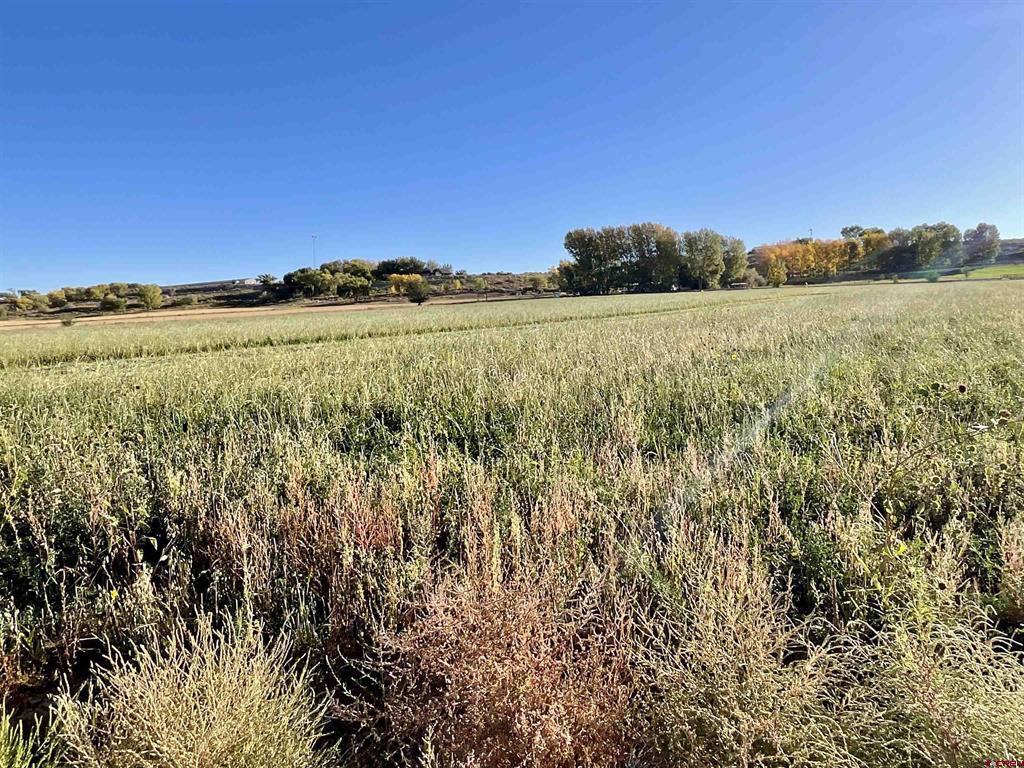 Tbd 5800 Road Montrose CO 81403