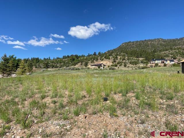 93 Fairway Drive South Fork CO 81154