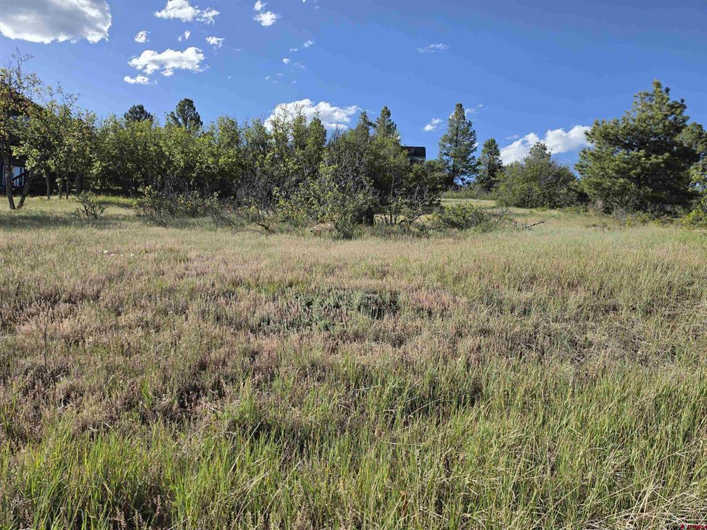 36 Cabellero Drive Pagosa Springs CO 81147