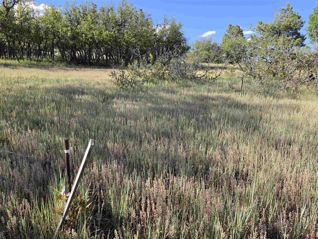 36 Cabellero Drive Pagosa Springs CO 81147