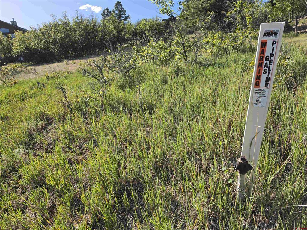 36 Cabellero Drive Pagosa Springs CO 81147