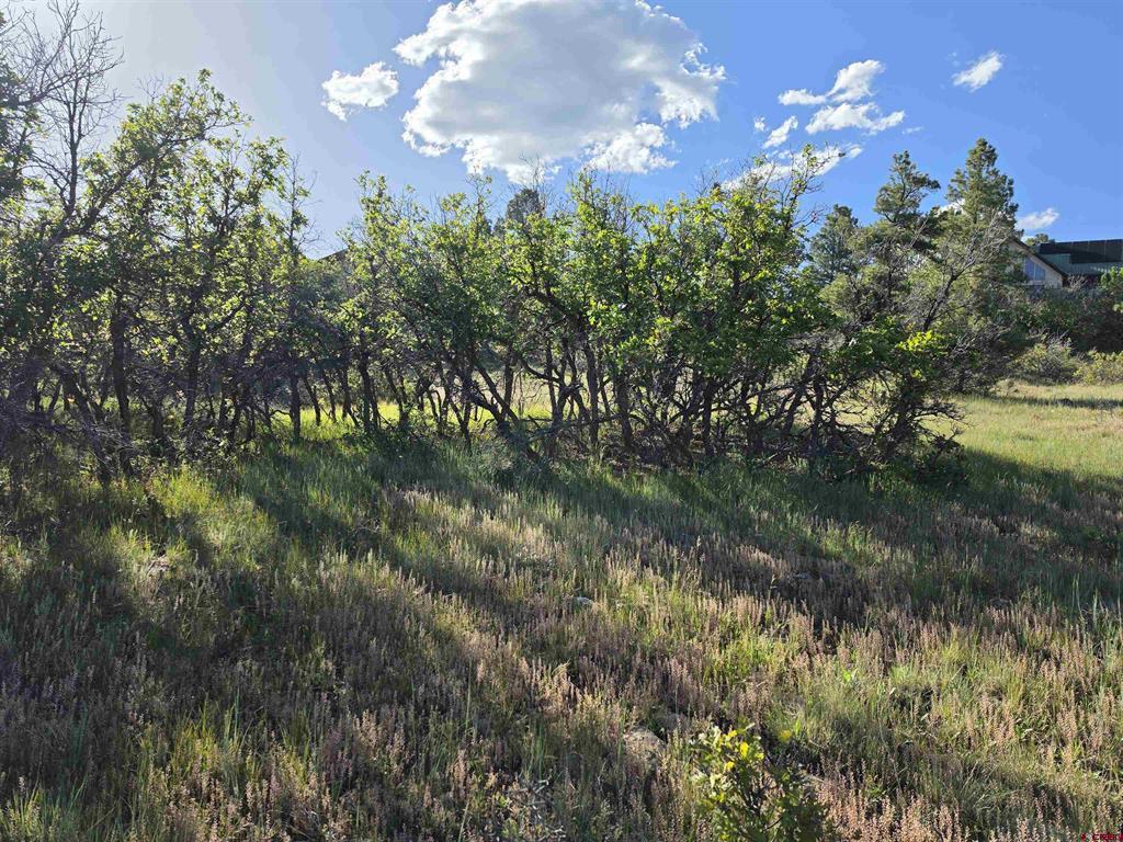 36 Cabellero Drive Pagosa Springs CO 81147