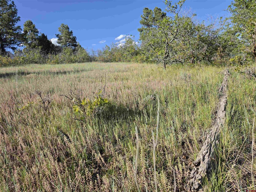 36 Cabellero Drive Pagosa Springs CO 81147