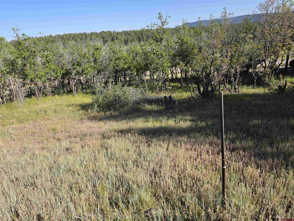 36 Cabellero Drive Pagosa Springs CO 81147