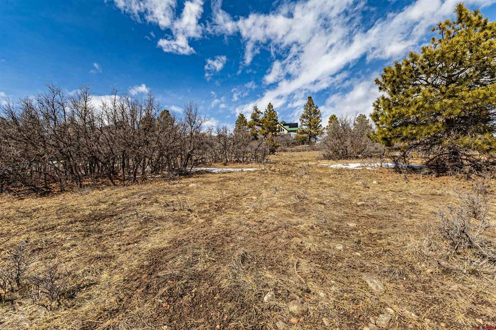 36 Cabellero Drive Pagosa Springs CO 81147