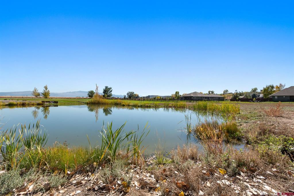 63242 Pearl Road Montrose CO 81403