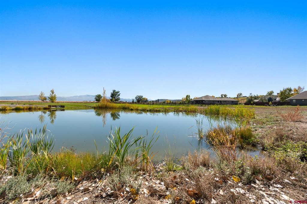 63242 Pearl Road Montrose CO 81403